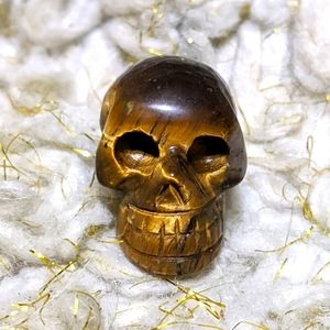 Tiger's Eye Crystal Skull Specimen Gemstone Mineral Boho Witch Goth Festival